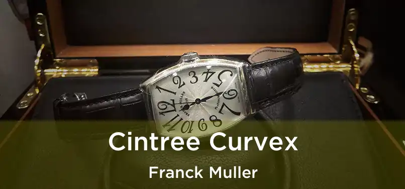 Cintree Curvex Franck Muller