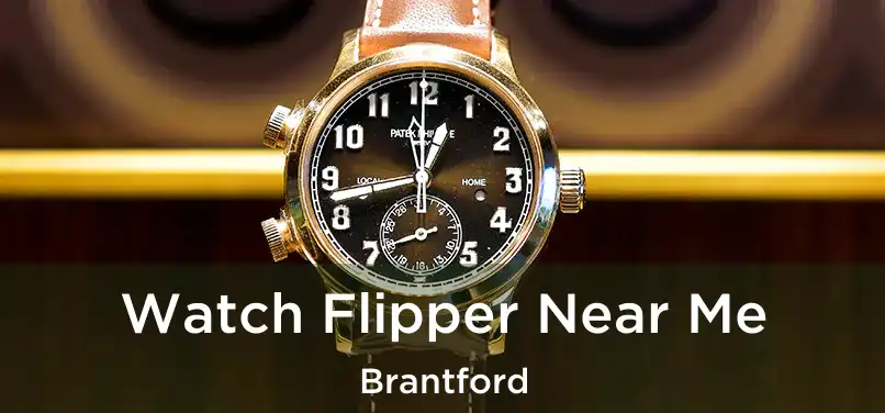  Watch Flipper Near Me Brantford